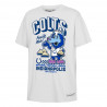 Indianapolis Colts Mitchell & Ness Youth Blue Pie Day T-Shirt - White